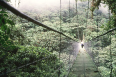 Skywalk, Monteverde
