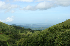 Monteverde