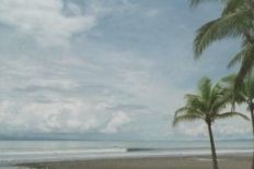 Read more about Surfing