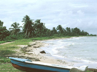 beach at corn island