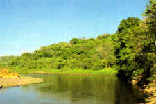 carara national park