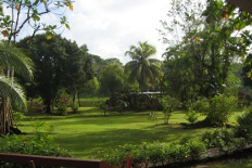 garden in hotel flor de tortuguero