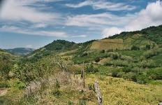 landscape, monteverde