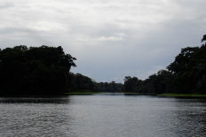 Canal in trotuguero National Park