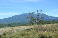 vulkan baru, boquete