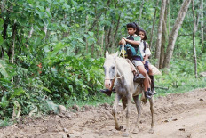 bribri schulkinder auf pferd