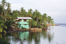 house at puerto viejo, caribbean