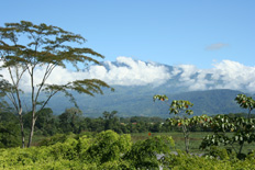 Turrialba Volcano seen from Casa Turire