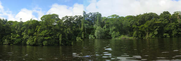 canal, tortuguero