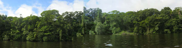 panorama tortuguero channel