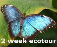 eco tour roundtrip