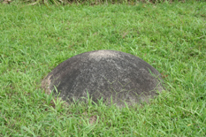 stone spheres at finca 1